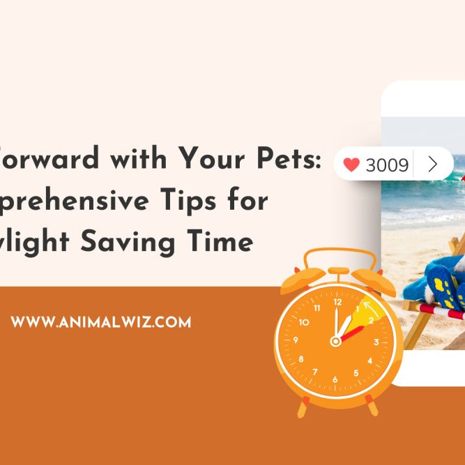 Spring Forward with Your Pets: Comprehensive Tips for Daylight Saving Time - AnimalWiz.com