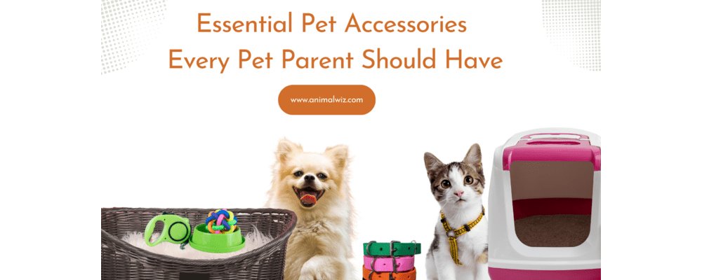 Top 10 Essential Pet Accessories Every Pet Parent Should Have - AnimalWiz.com