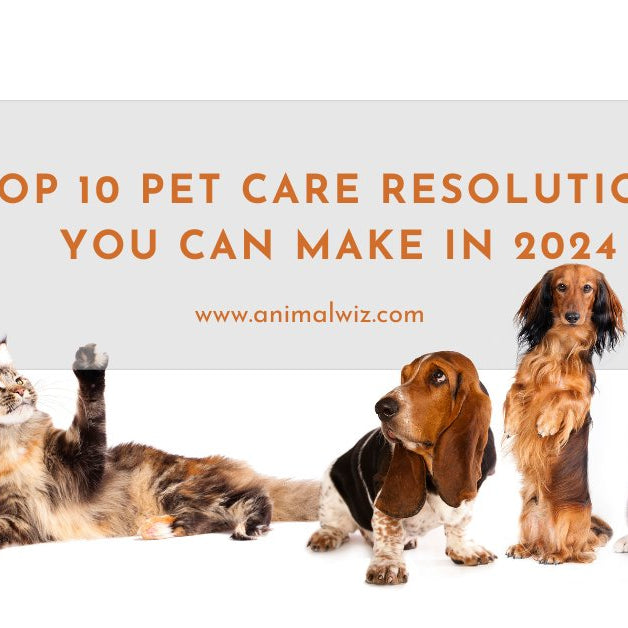 Top 10 Pet Care Resolutions for 2024 - AnimalWiz.com