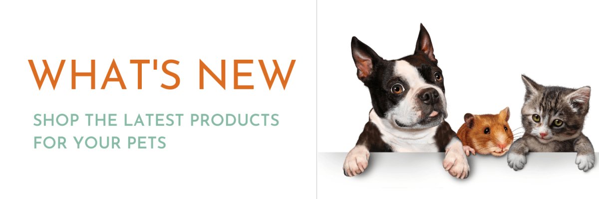 What's New - AnimalWiz.com