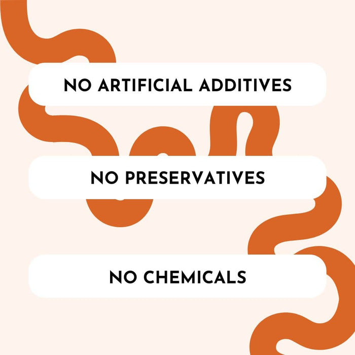 Wiz Basics Probiotic and Prebiotic Powder Supplement for Dogs, 3.8 oz