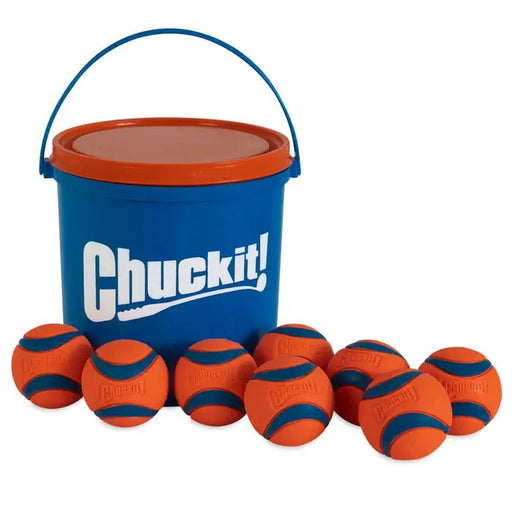 Chuckit! Ultra Ball Dog Toy with Cleaning Bucket - Pack of 8, Medium (2.5" Diameter) - 029695509339
