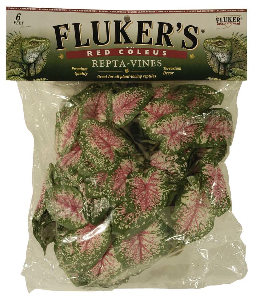 fluker's repta vines pothos Fluker's Repta-Vines 6' Red Coleus