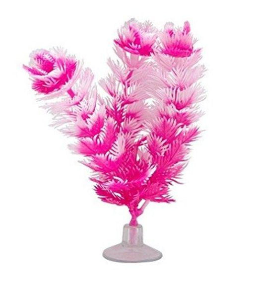 Marina Betta Foxtail Hot Pink/White Plastic Plant - 015561120838