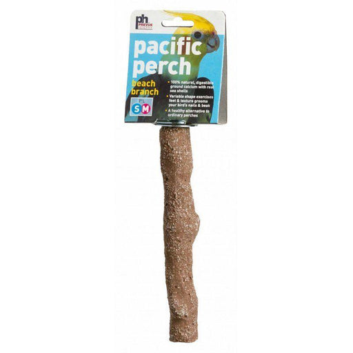 Prevue Pacific Perch - Beach Branch - 048081010105