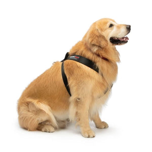 WeatherTech Pet Safety Harness - Black - 787765964586