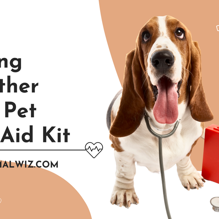 Putting Together Your Pet First Aid Kit