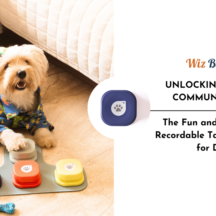 Unlocking Canine Communication: The Fun and Benefits of Recordable Talking Buttons for Dogs