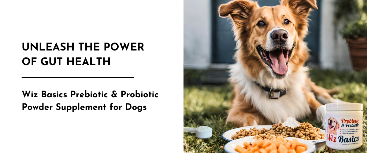 Unleash the Power of Gut Health: Wiz Basics Prebiotic & Probiotic Powder Supplement for Dogs