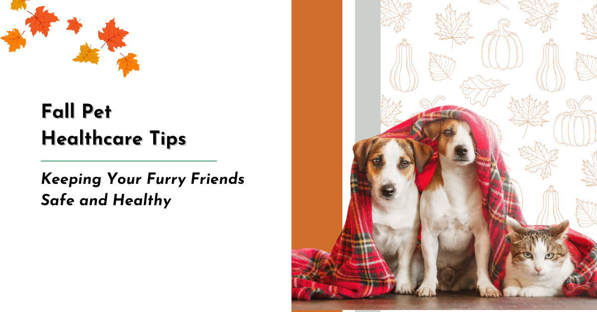 Fall Pet Healthcare Tips: Keeping Your Furry Friends Safe and Healthy ...