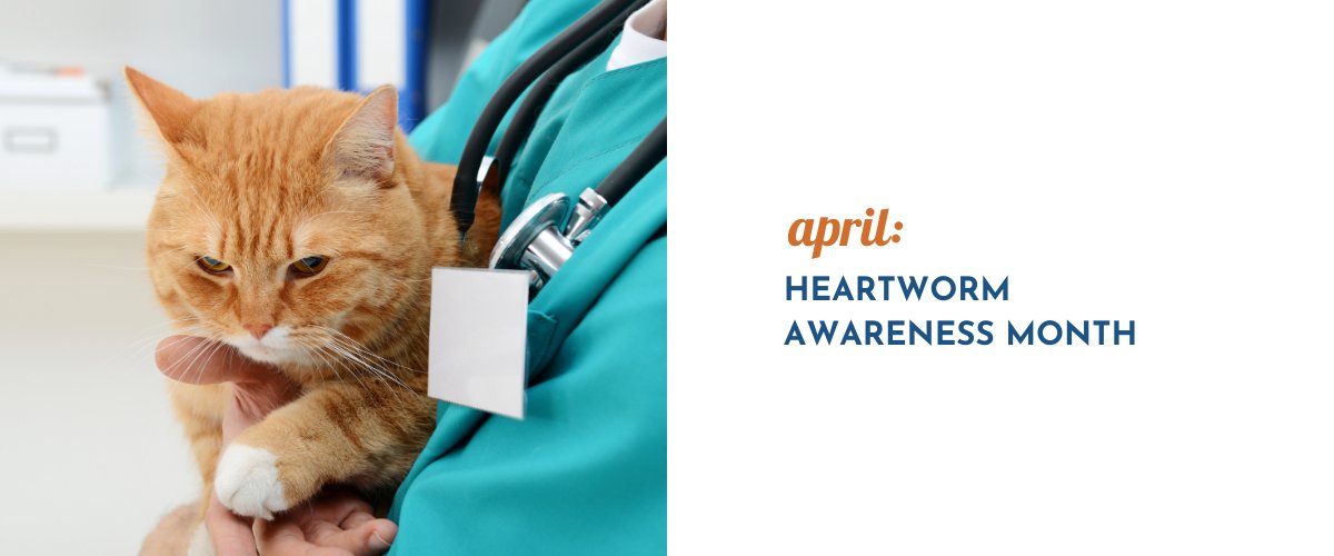 April: Heartworm Awareness Month - AnimalWiz.com