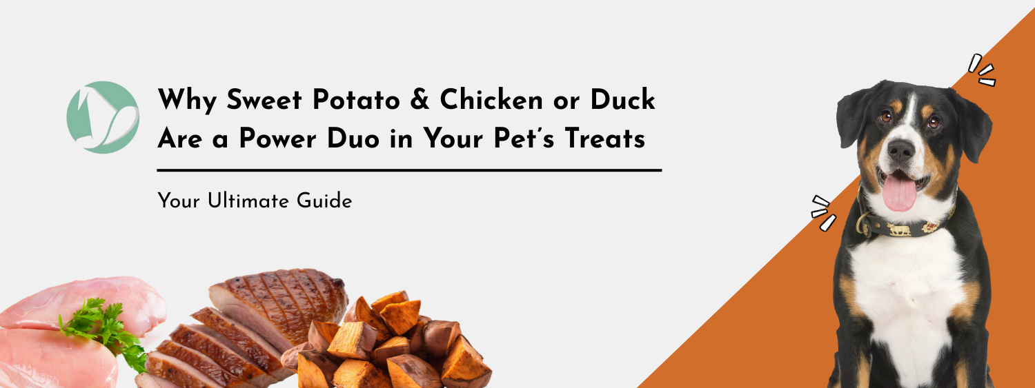 Why Sweet Potato & Duck or Chicken Are a Power Duo in Your Pet’s Treats