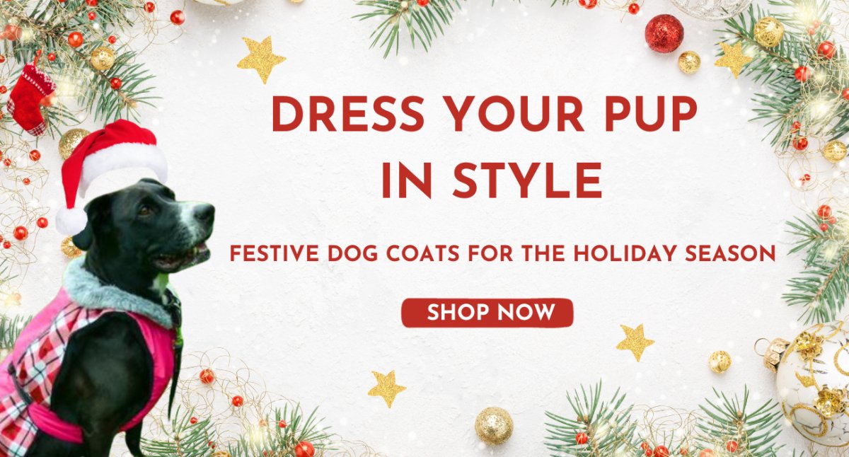 Dress Your Pup in Style: Festive Dog Coats for the Holiday Season - AnimalWiz.com