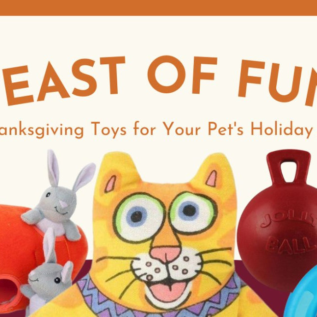 Feast of Fun: Thanksgiving Toys for Your Pet's Holiday Joy - AnimalWiz.com