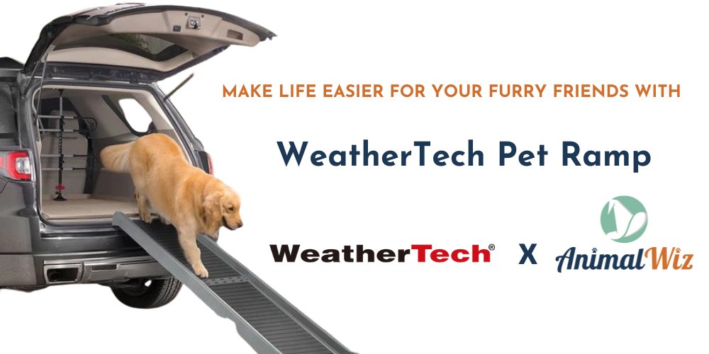 Make Life Easier for Your Furry Friends with WeatherTech Pet Ramp - AnimalWiz.com