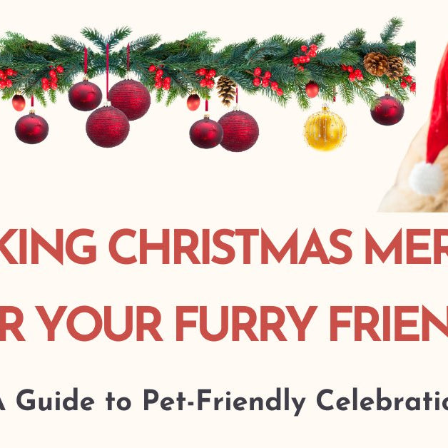 Making Christmas Merry for Your Furry Friends: A Guide to Pet-Friendly Celebrations - AnimalWiz.com