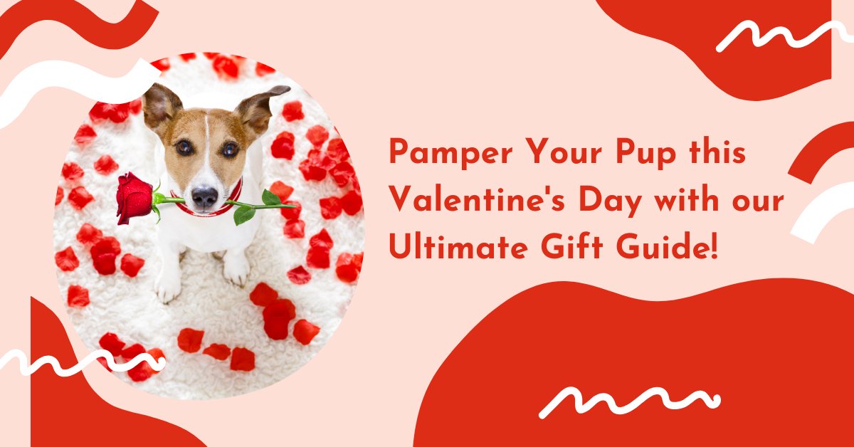 Pamper Your Pup this Valentine's Day with our Ultimate Gift Guide! - AnimalWiz.com
