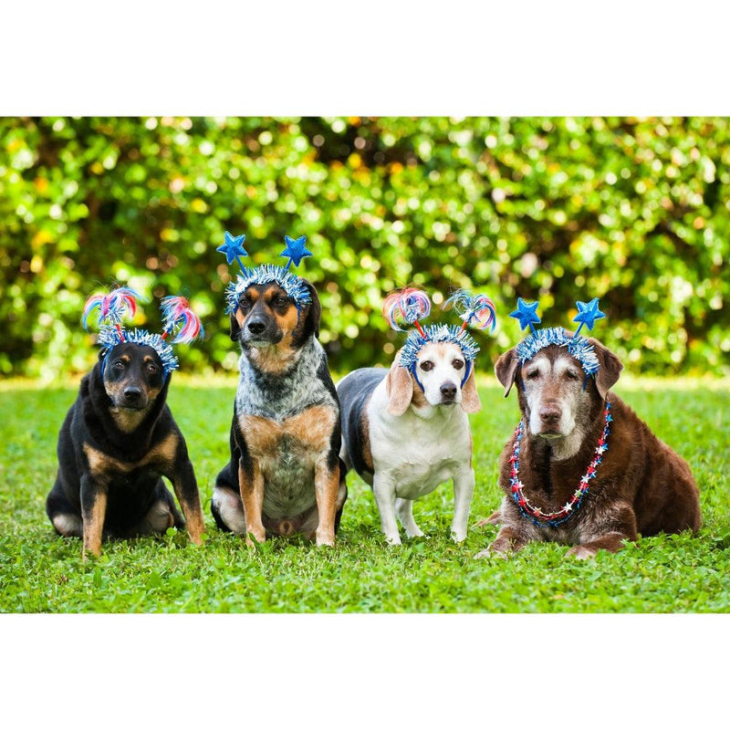 Pet Safety for the 4th of July Weekend - AnimalWiz.com
