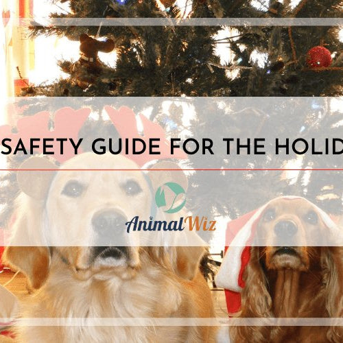 Pet Safety Guide For The Holidays - AnimalWiz.com