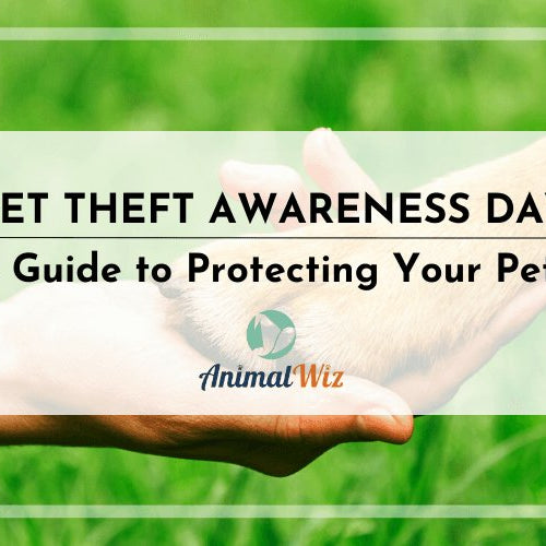 PET THEFT AWARENESS DAY: A GUIDE TO PROTECTING YOUR PETS - AnimalWiz.com