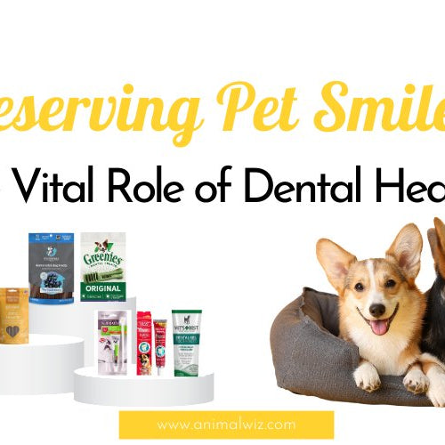 Preserving Pet Smiles: The Vital Role of Dental Health - AnimalWiz.com