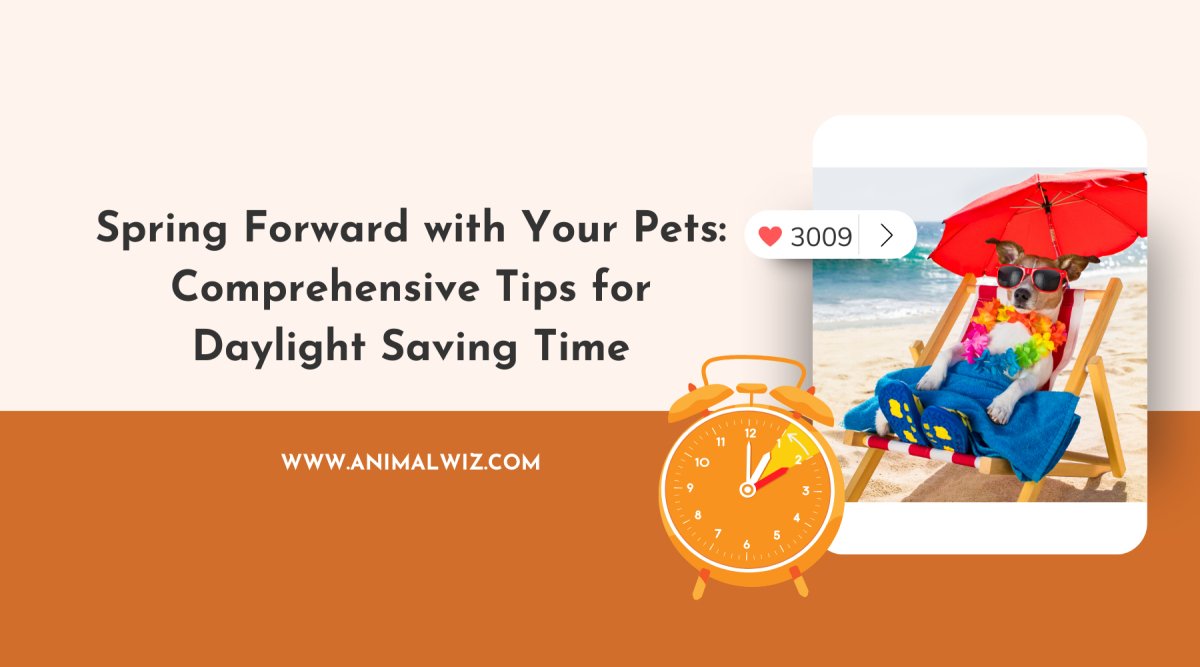 Spring Forward Pet Spring Forward with Your Pets: Comprehensive Tips for Daylight Saving ...
