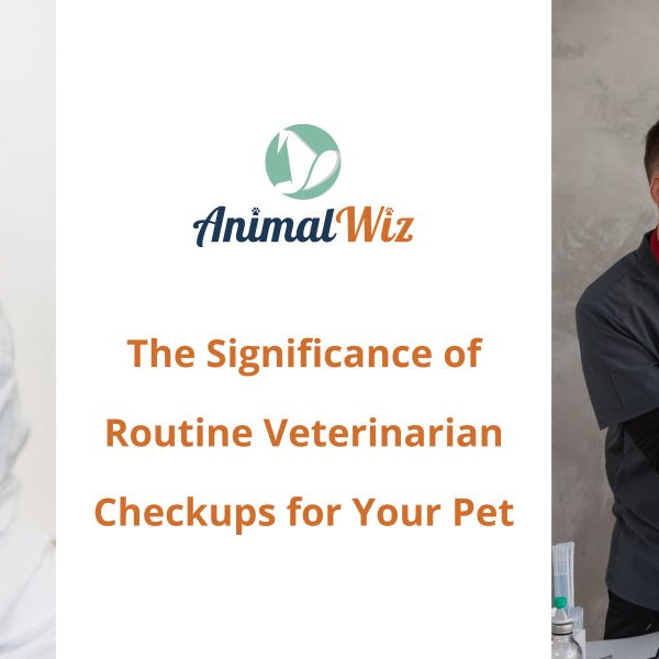 The Significance of Routine Veterinarian Checkups for Your Pet - AnimalWiz.com