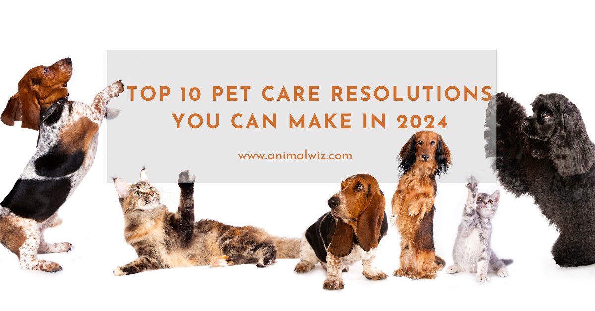 Top 10 Pet Care Resolutions for 2024 - AnimalWiz.com