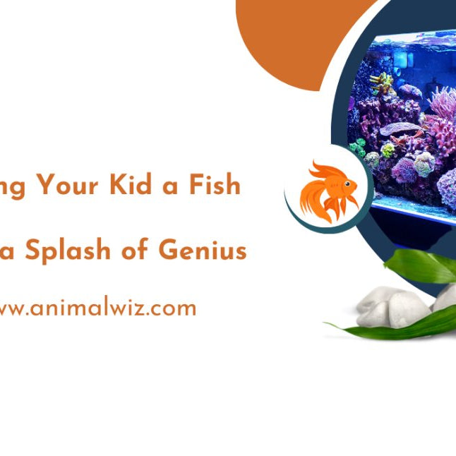 Why Getting Your Kid a Fish as a Pet is a Splash of Genius - AnimalWiz.com