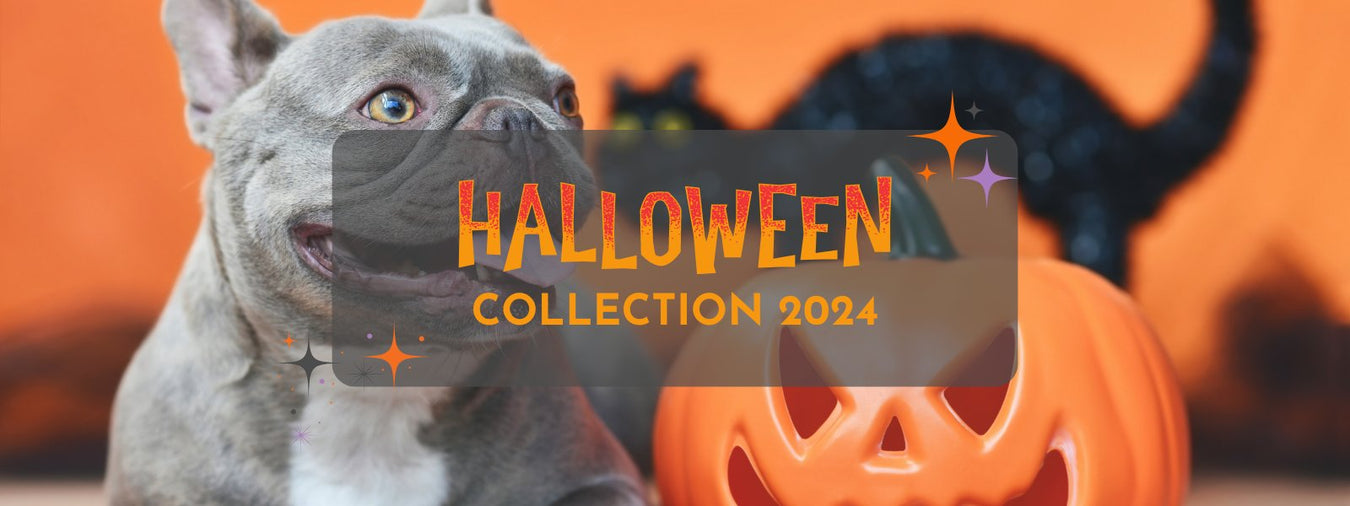 Halloween Collection - AnimalWiz.com