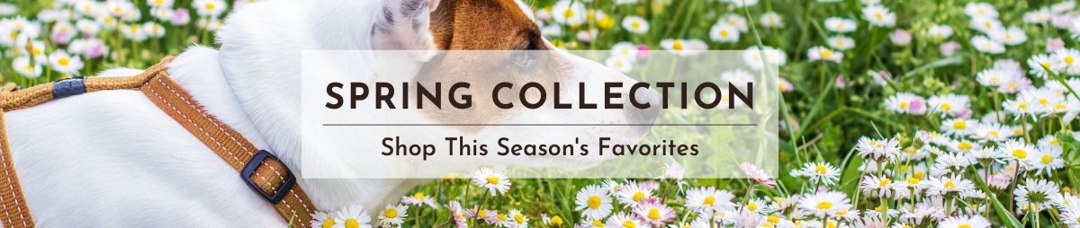 Spring Collection - AnimalWiz.com