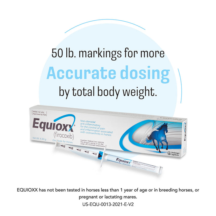 Rx Equioxx Paste 6.93gm x 1 syringe