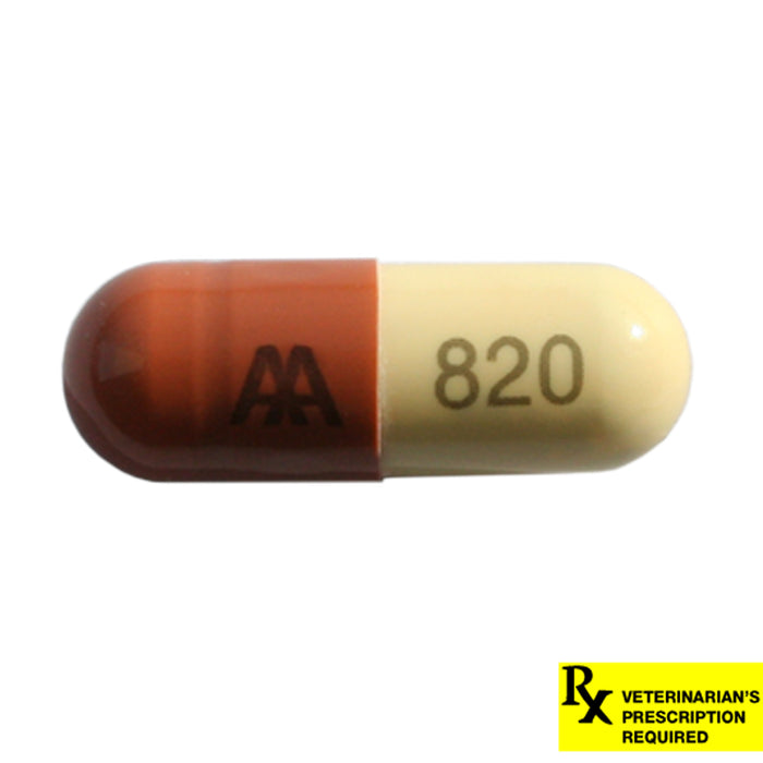 Rx Amoxicillin 250mg  x 1 capsule