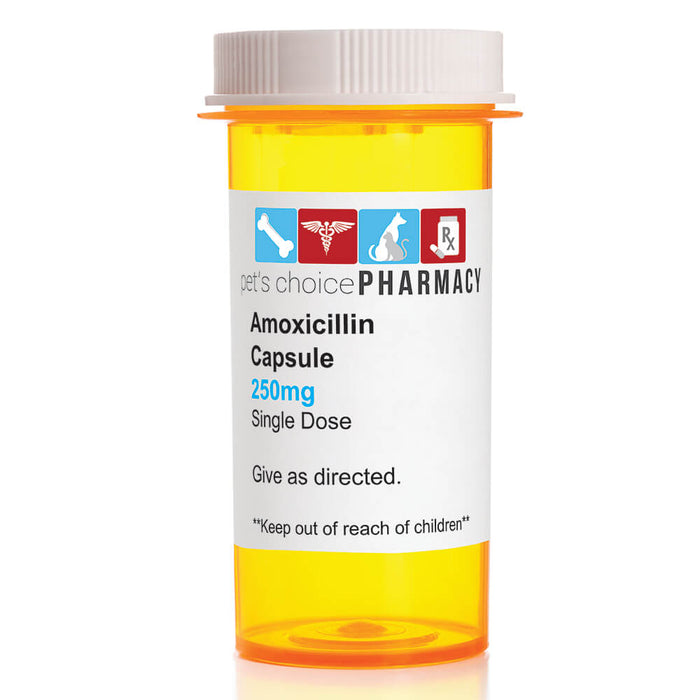 Rx Amoxicillin 250mg  x 1 capsule