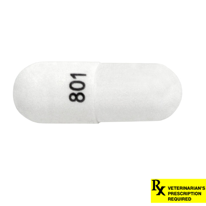 Rx Cephalexin 250mg x 1 capsule