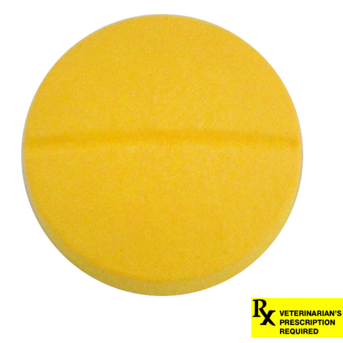 Rx Viceton (Chloramphenicol) 500mg x 1 tablet