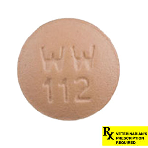 Rx Doxycycline Tablet  100 mg x 1 ct