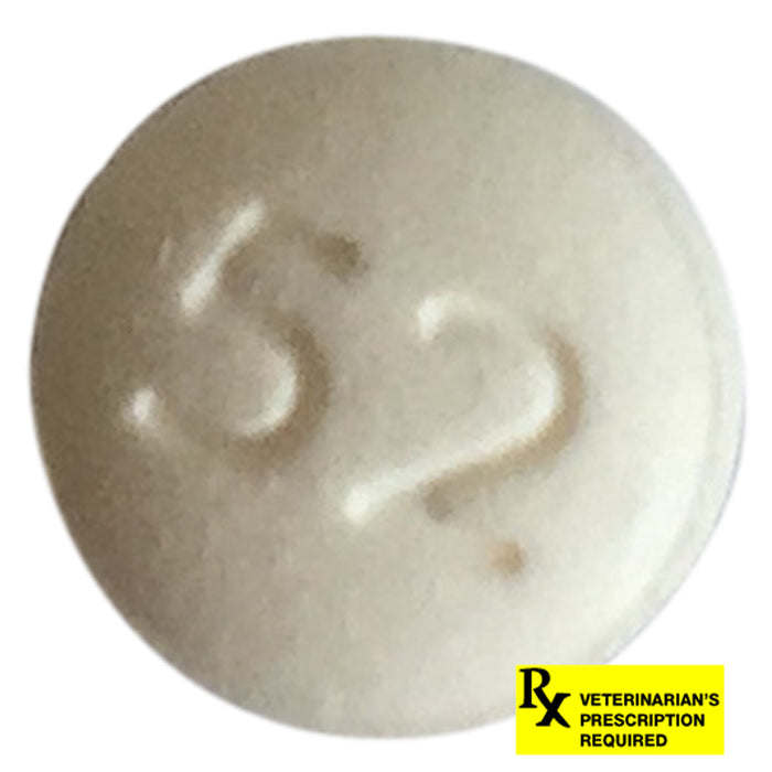 RX Benazepril Tabs 10mg x 1ct