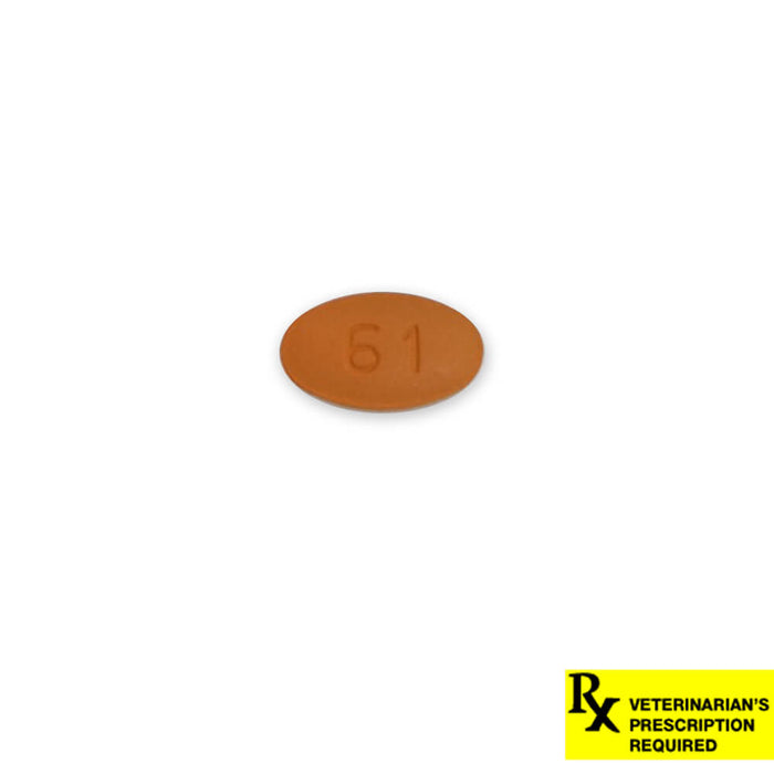 Rx Cefpodoxime 100mg x 1 tablet