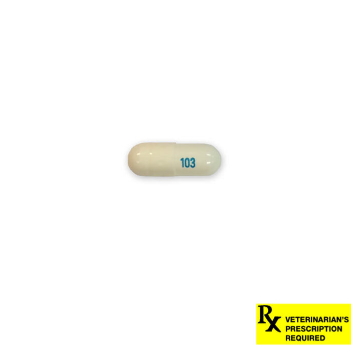 Rx Gabapentin 100mg X 1 capsule