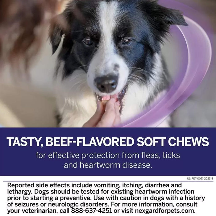 Rx Nexgard Plus, 8.1-17 lbs, 6pk