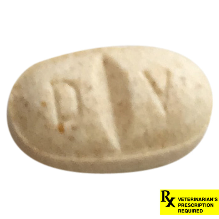 Rx Clomicalm 5mg x 1 tablet