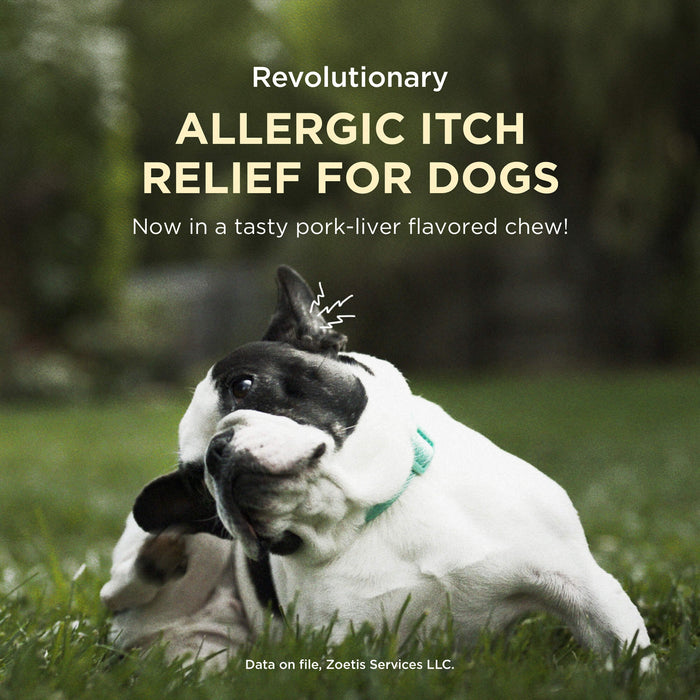 Rx Apoquel Chewable 16mg, Single Chew