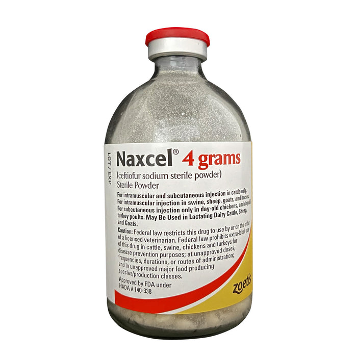 Rx Naxcel 4 gm