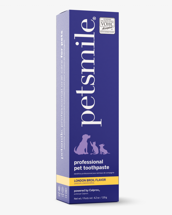 Petsmile Professional Pet Toothpaste - London Broil Flavor - Large
