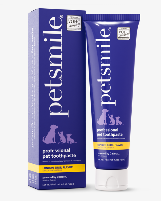 Petsmile Professional Pet Toothpaste - London Broil Flavor - Large