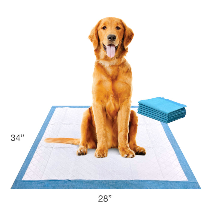 Four Paws Wee-Wee® Superior Performance X-Large Dog Pee Pads 28" x 34" (6 Count)