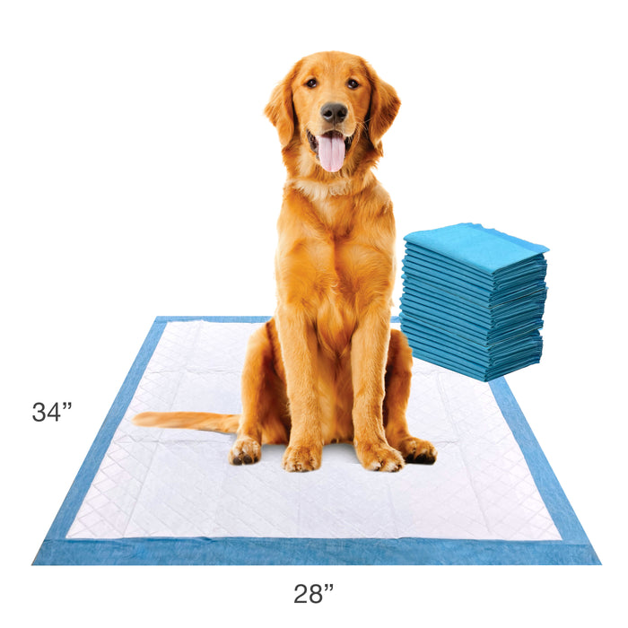 Four Paws Wee-Wee® Superior Performance X-Large Dog Pee Pads 28" x 34" (21 Count)