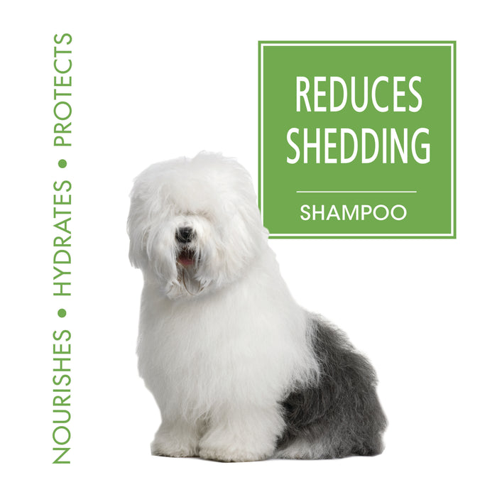 Four Paws Magic Coat® Reduces Shedding Shampoo 16 Ounce (1 Count)