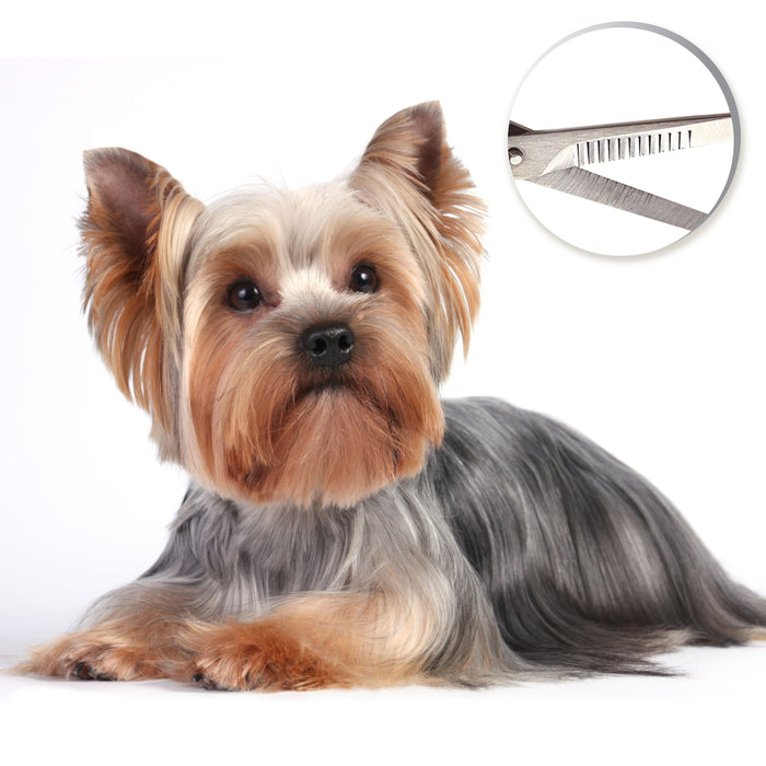 Four Paws Magic Coat Professional Series All-in-One Finishing Dog Grooming Shears